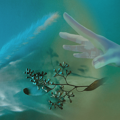 タランテラのジャケット写真