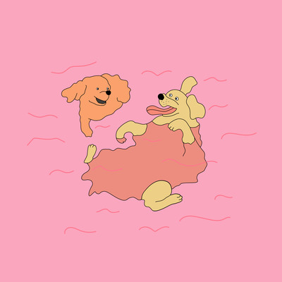 YOUNG IN Front Cover