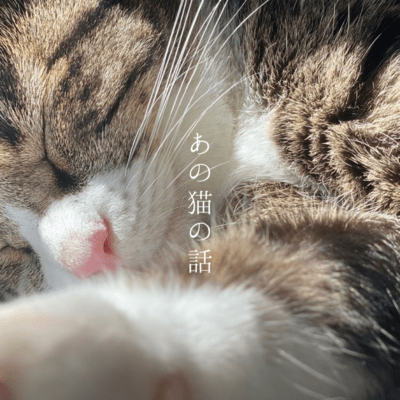 あの猫の話のジャケット写真