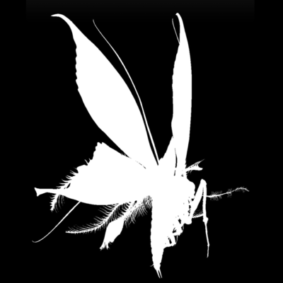 MOTHZ MOSH PiT II Front Cover