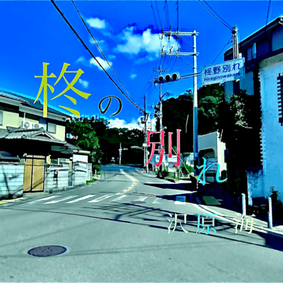 Hiiragi no wakare Front Cover