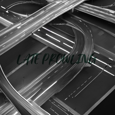 late prowlingのジャケット写真