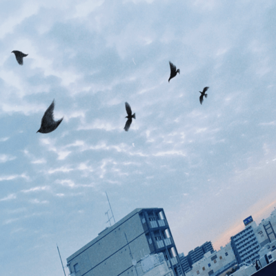 Karasu no sora Front Cover