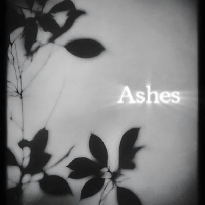 Ashes Front Cover