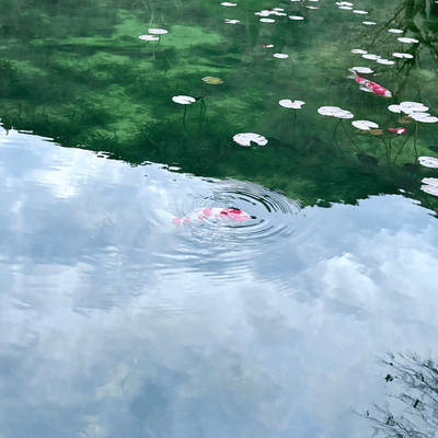 水縹のジャケット写真