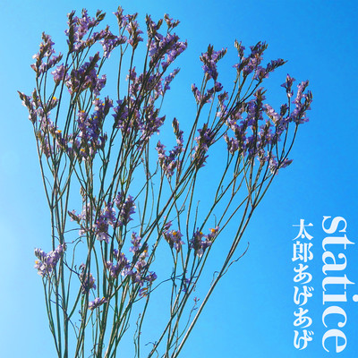 statice Front Cover