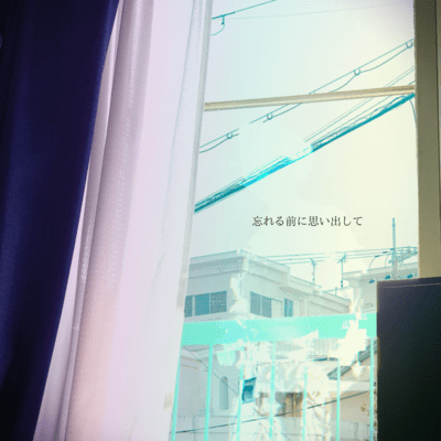 Remember before you forget Front Cover