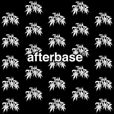 AFTER JOINTZのジャケット写真
