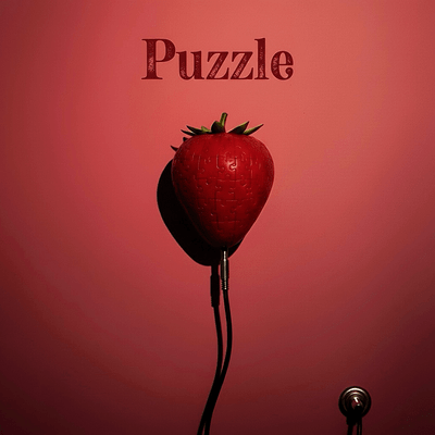 Puzzle Front Cover