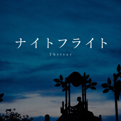 Night flight Front Cover
