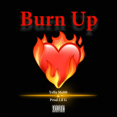 Burn Up Front Cover