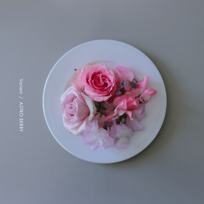 Variant Front Cover