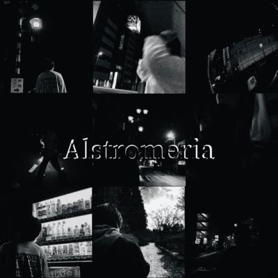 Alstromeria Front Cover