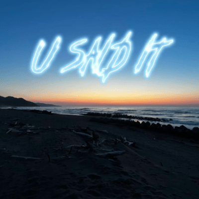 U SAID IT Front Cover