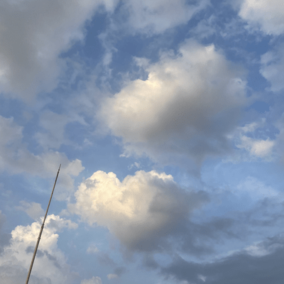 My fell youのジャケット写真