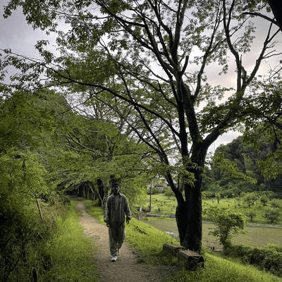 shaking stand up Front Cover