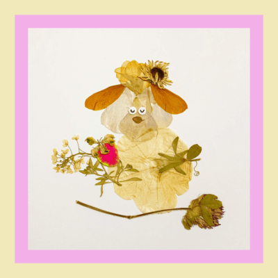 犬と苺のジャケット写真