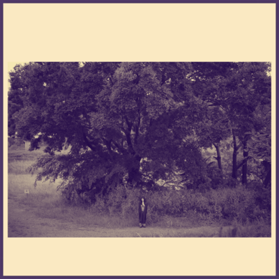 さらば青春の光のジャケット写真