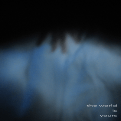 the world is yours Front Cover