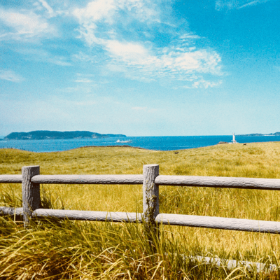 一輪の花のジャケット写真