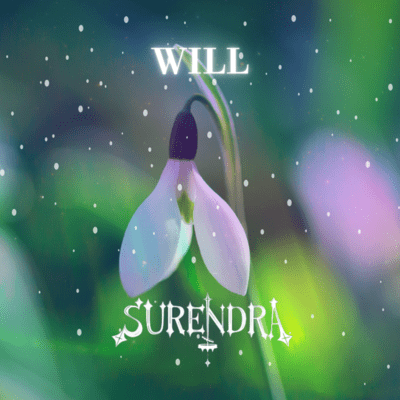 WILL Front Cover