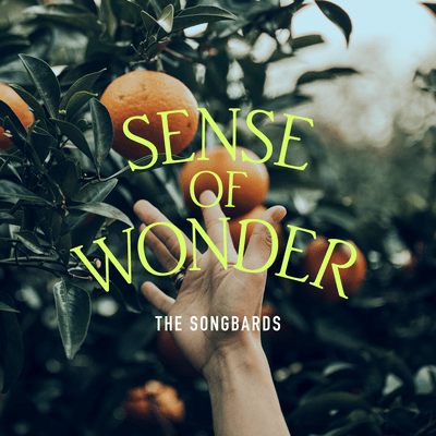Sense of Wonder Front Cover