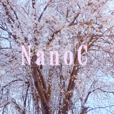 SAKURA Front Cover