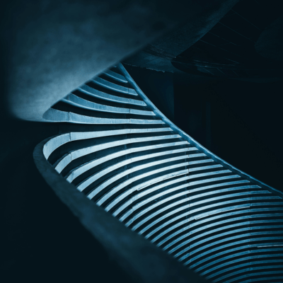 denizen of the dark Front Cover