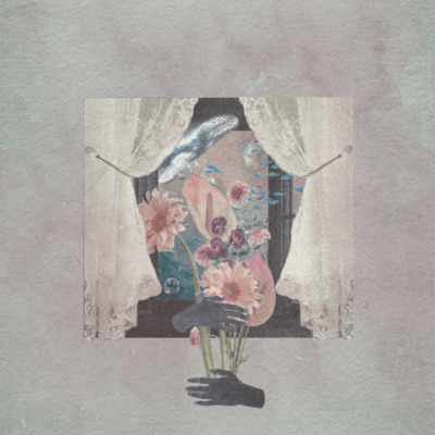 near a blackout window Front Cover