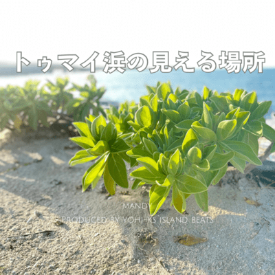 A Place with a View of Tumai Beach Front Cover