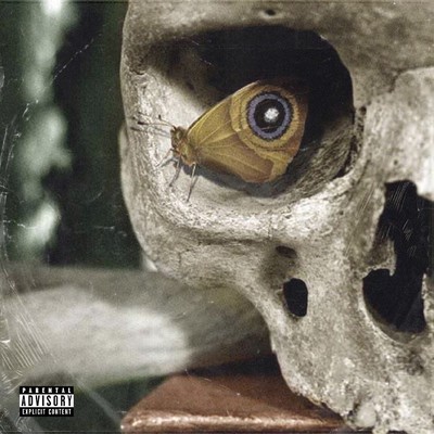 FLYING DEAD 2 Front Cover