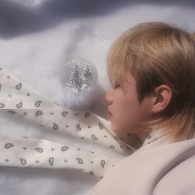 SNOWDOME Front Cover