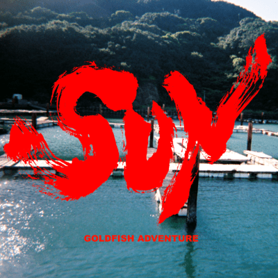 SUNのジャケット写真