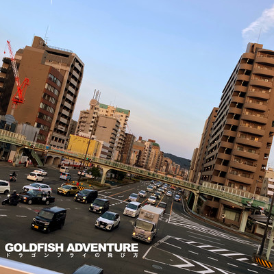 How the dragonfly flies Front Cover