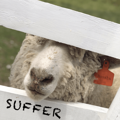suffer Front Cover