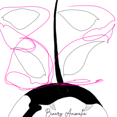 シャチゾンビのジャケット写真