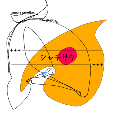 SHACHI SAKE Front Cover