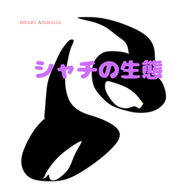 Ecology of Killer Whales Front Cover