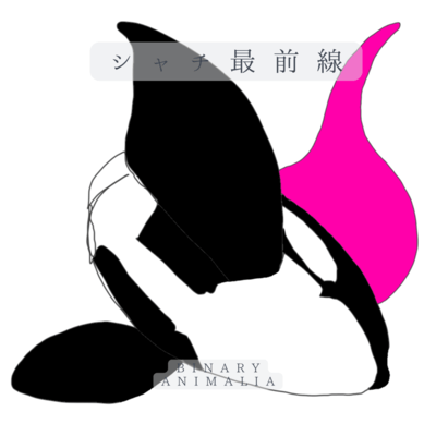 Orca's Hot Plot Front Cover