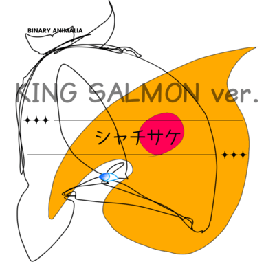 SHACHI SAKE (KING SALMON ver.) Front Cover
