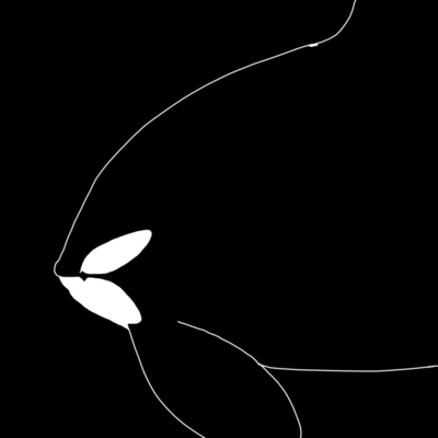 しゃちいけのジャケット写真