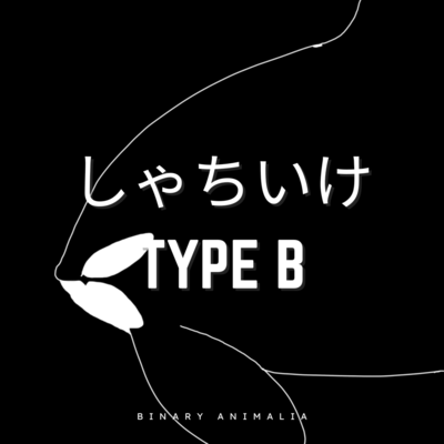 shachiike (type B) Front Cover