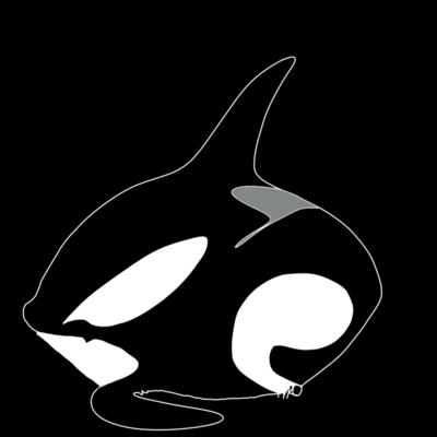 雨宿りのジャケット写真