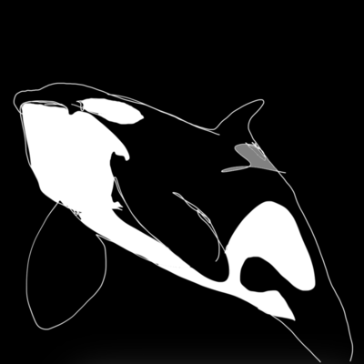 Law of Threeのジャケット写真