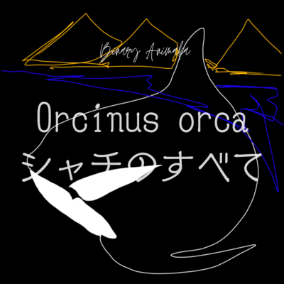 Orcinus orca シャチのすべてのジャケット写真