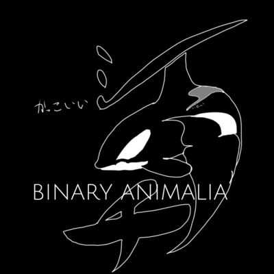 A cool orca Front Cover