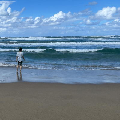 kodokunawakuseiyori Front Cover