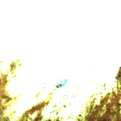 Yuuhi Prum Front Cover