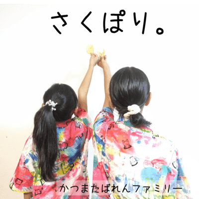 SakuPori (JAGA RECORDS mix) Front Cover