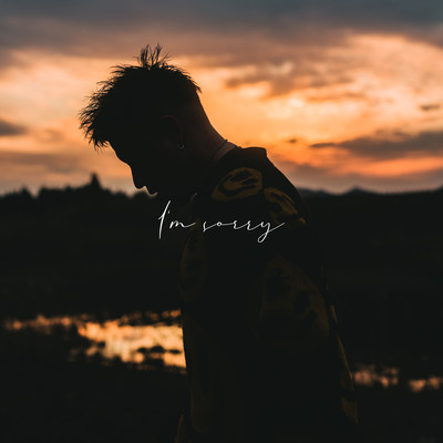 I'm Sorry Front Cover